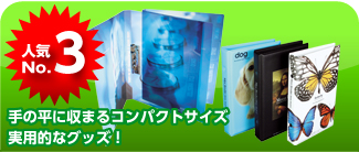 �o�C���_�[